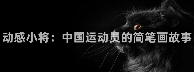 oety欧亿体育官网下载招商电话号码查询:动感小将:中国运动