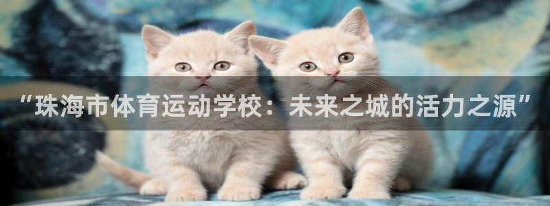 oety欧亿体育官网下载招商:“珠海市体育运动学校:未来之城